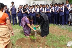 Environmental day